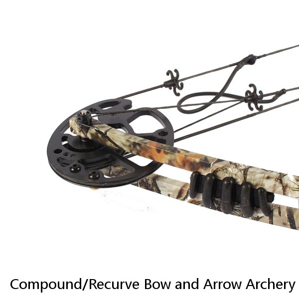 Compound/Recurve Bow and Arrow Archery Hunting bow Spine 500 Mixed Carbon Arrow 30 Inches Diameter 7.8 mm