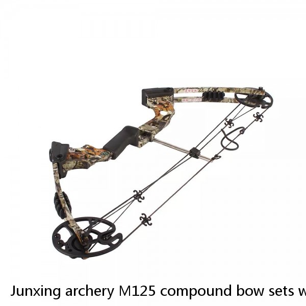 Junxing archery M125 compound bow sets with complete accessories