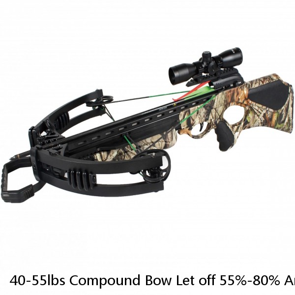 40-55lbs Compound Bow Let off 55%-80% Archery Hunting Fishing Outdoor Shooting