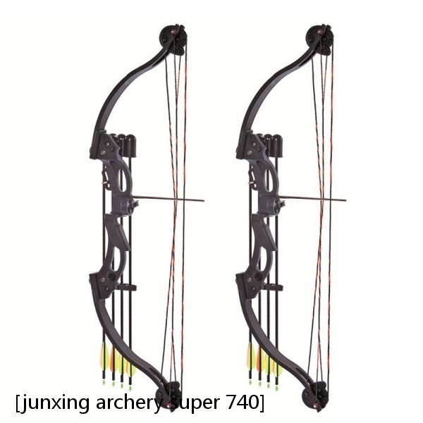 High Quality Archery Hunting Bow 40LBS Beginner Practice Shooting Takedown Metal Recurve Bow